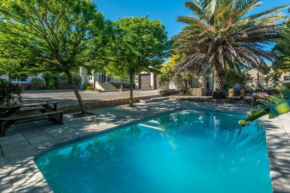 Paved courtyard and pool surround in a leafy garden